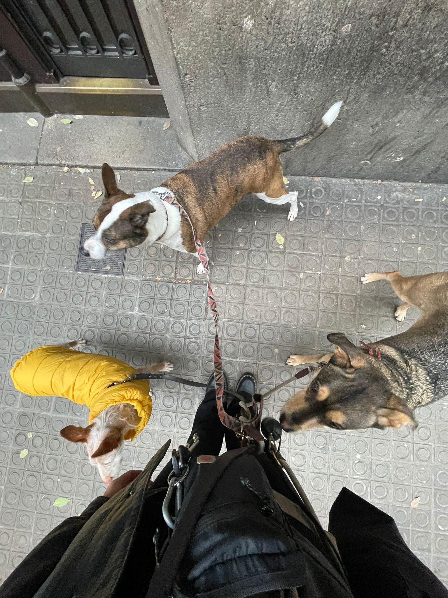 Looking fabulous today