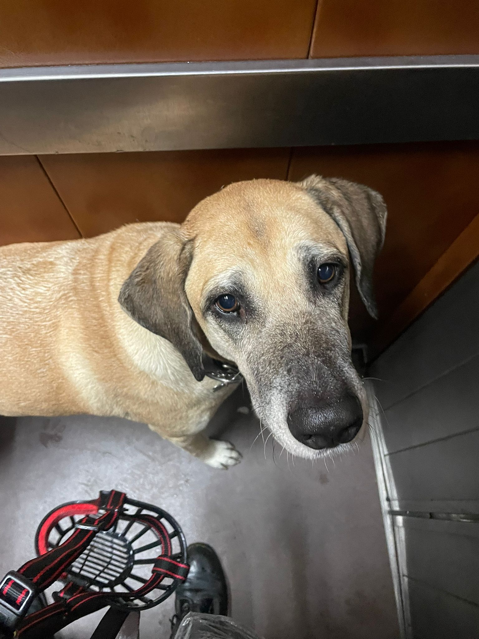 Park life perfection