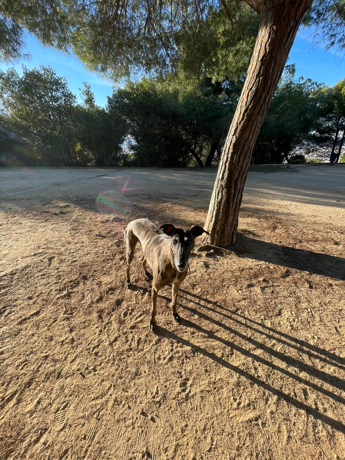 Smile for the camera!