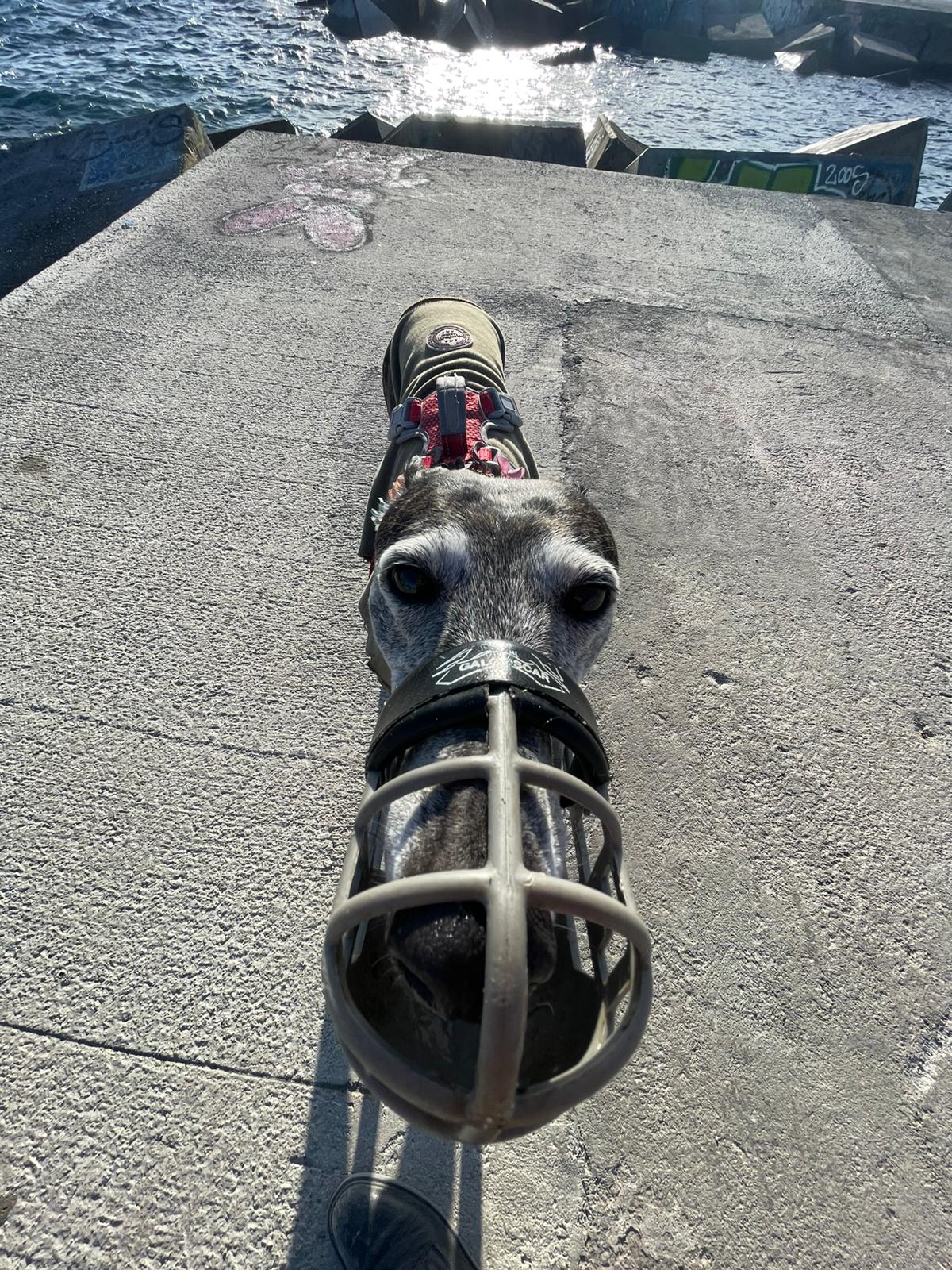 Mountain view moment