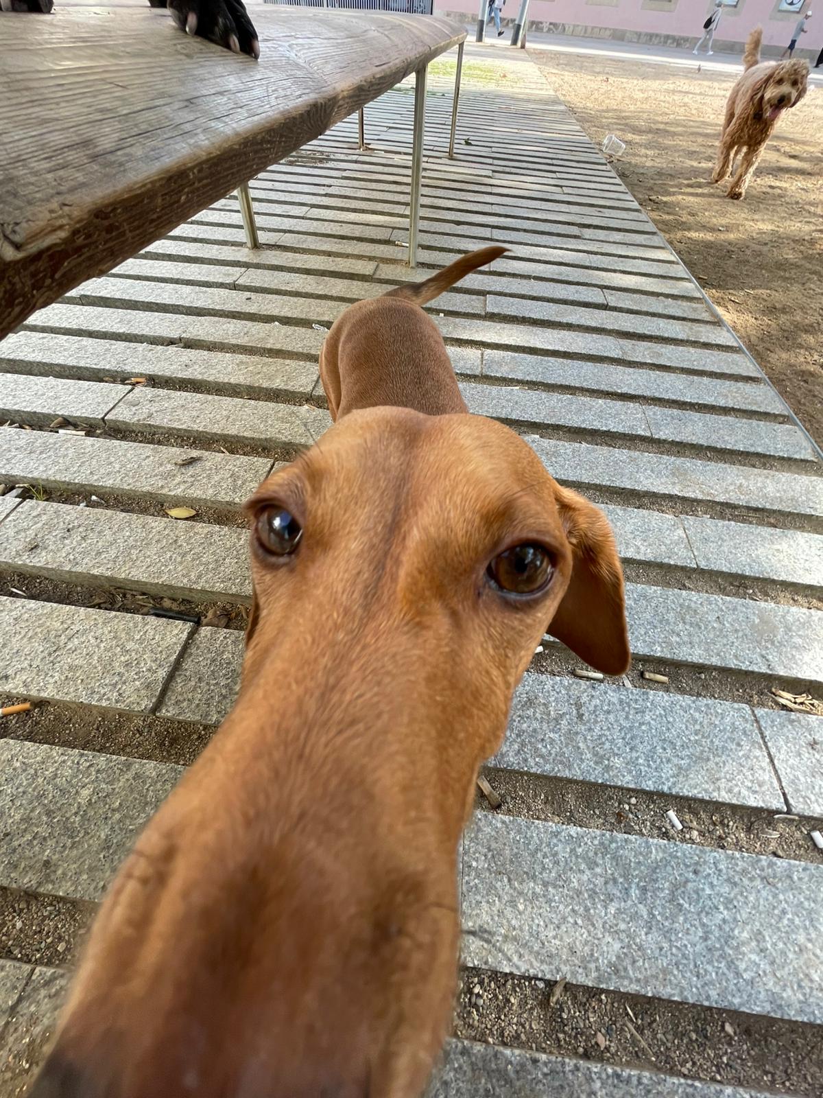 Nature's best friend