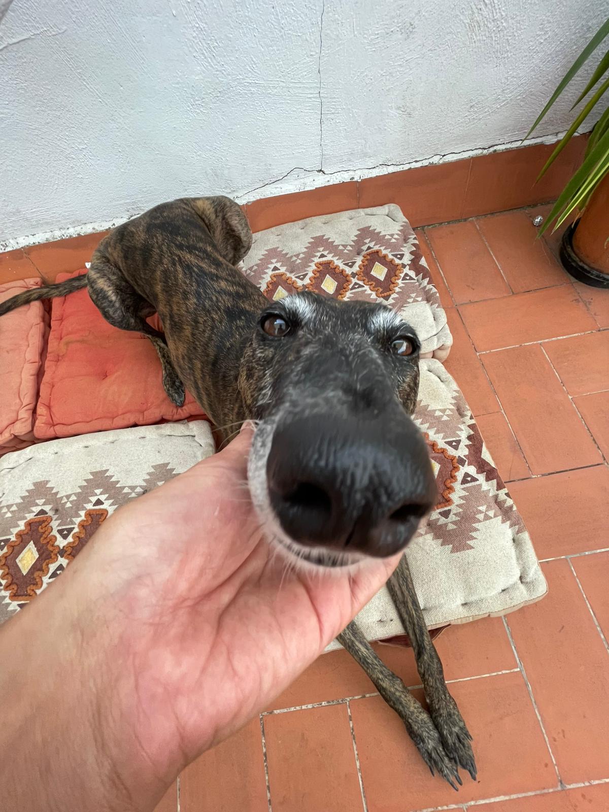 Evening stroll magic