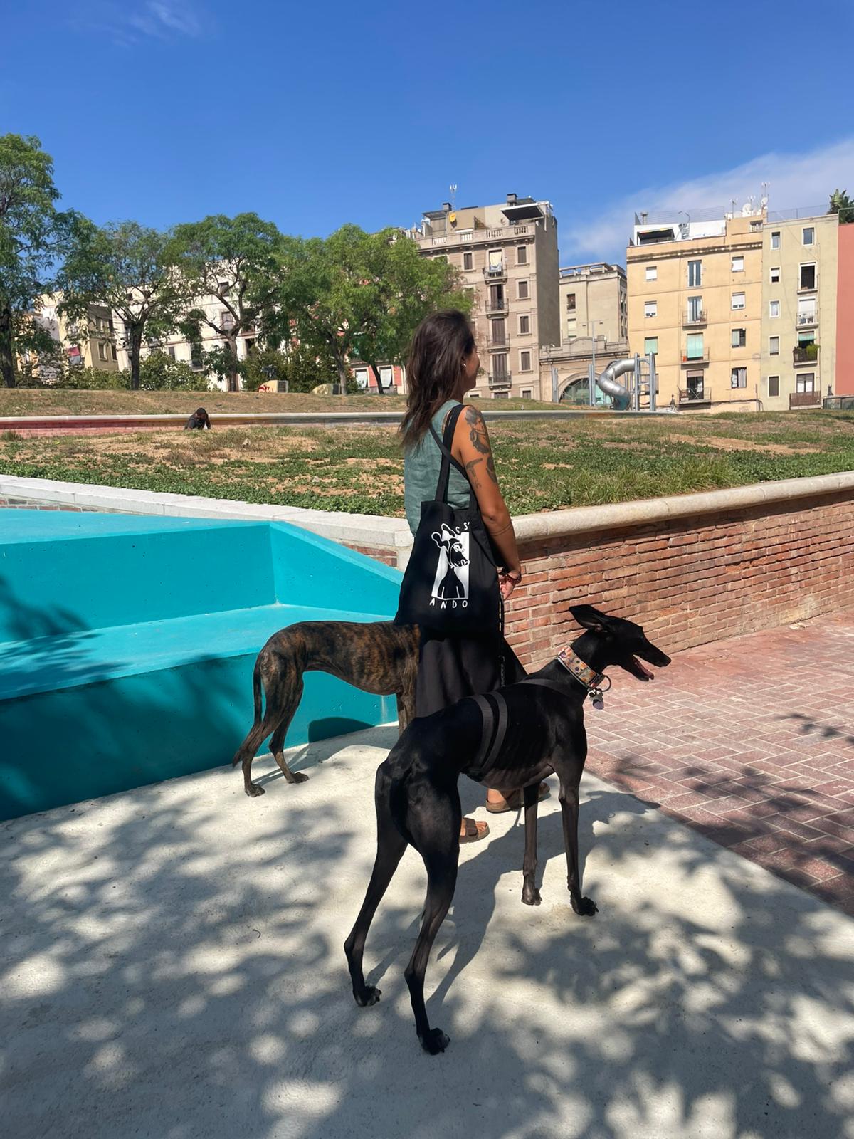 Park bench philosopher